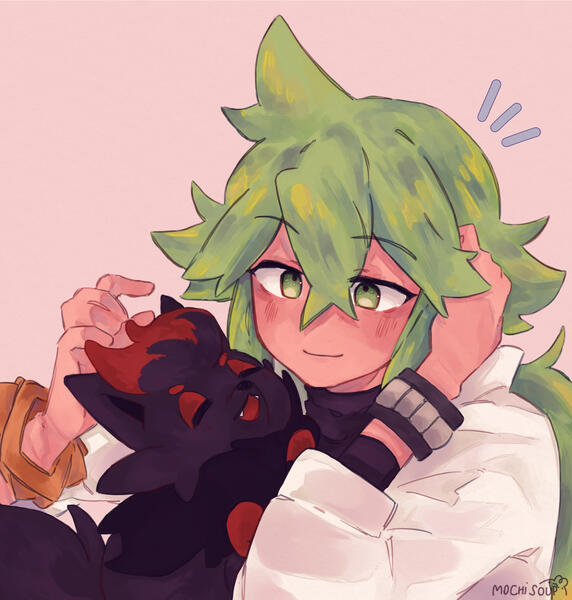 N and zorua (pokemon)